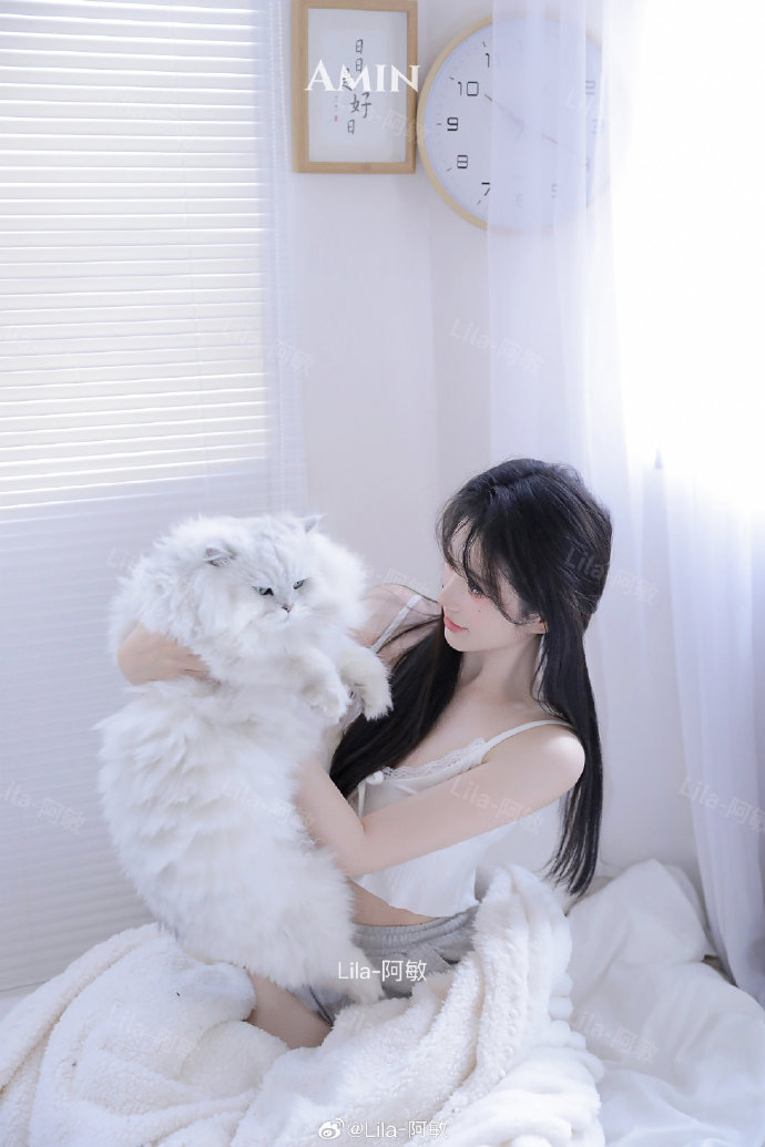 风花雪月免费观看完整版